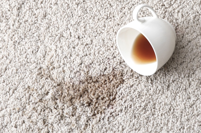 Dycarp can help with carpet cleaning and deodorizing services in Norfolk.