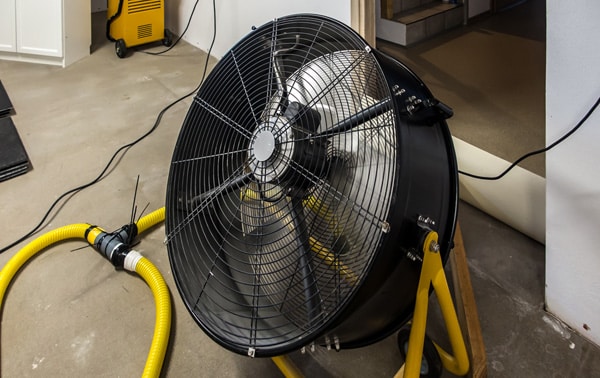 Hurricane restoration companies in Norfolk are experienced in water extraction and mold prevention.